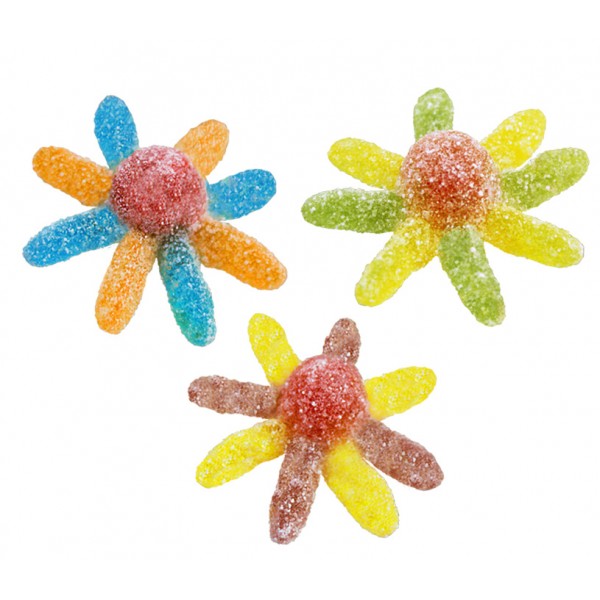 JAKE ΖΕΛΕ*SOUR OCTOPUS*1kg K/12