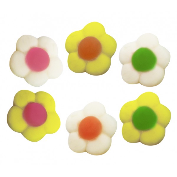 JAKE ΖΕΛΕ VEGAN *DAISIES* 1kg K/12